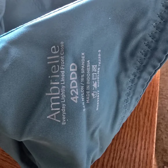 Ambrielle Teal Bra - Picture 3 of 3